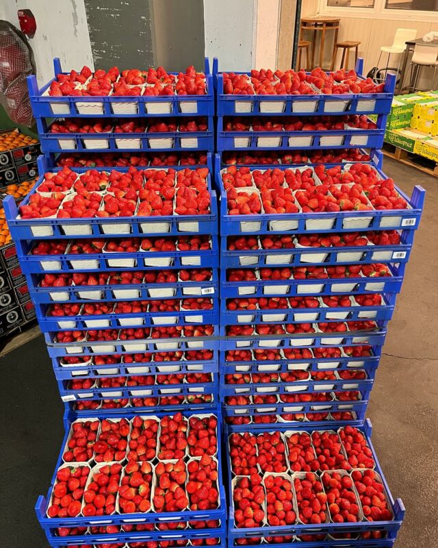 🍓🍓🍓Erdbeeren 🍓 🍓🍓