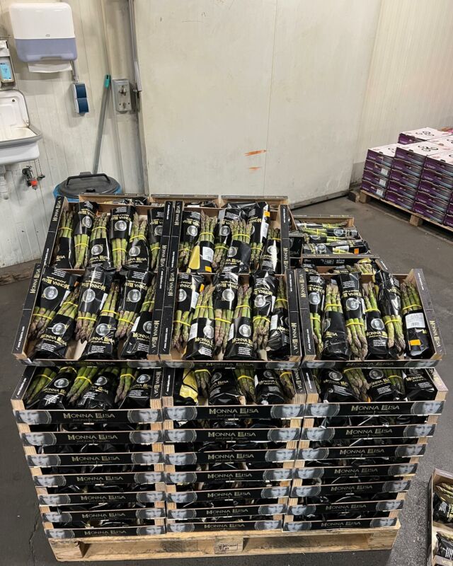 Frisch Eingetroffen Spargel grün